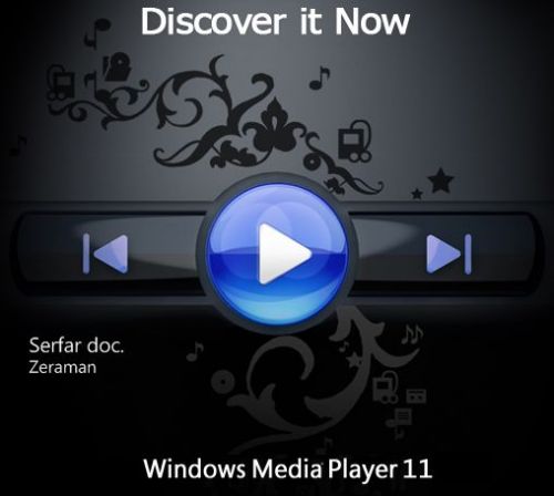Windows Media Player (WMP)